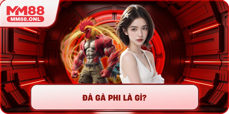 Đá gà phi là gì?
