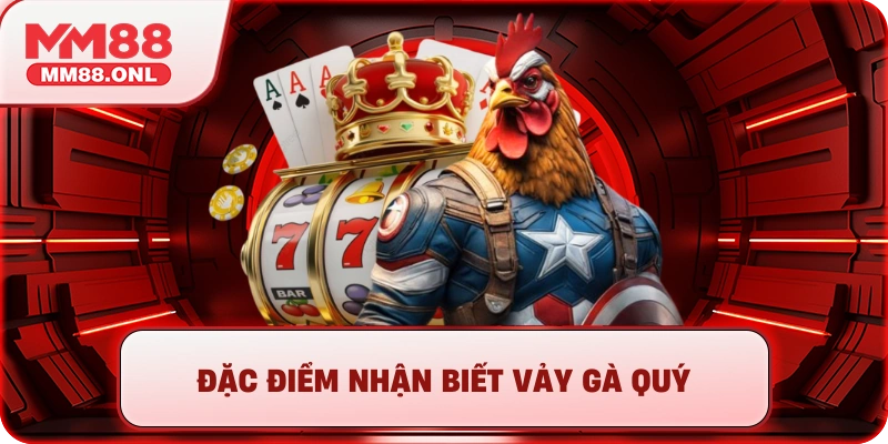 Đặc điểm nhận biết vảy gà quý
