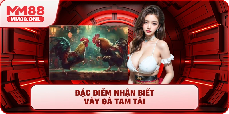 Đặc điểm nhận biết vảy gà tam tài