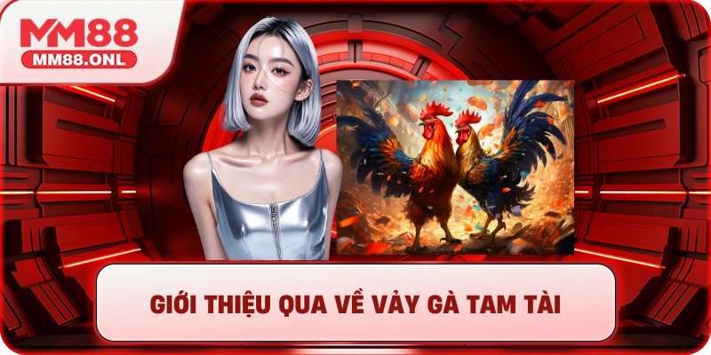 Giới thiệu qua về vảy gà tam tài