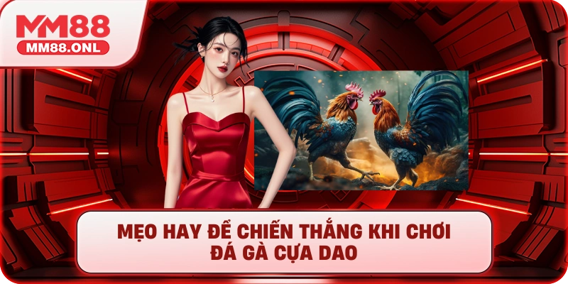 Mẹo hay để chiến thắng khi chơi đá gà cựa dao