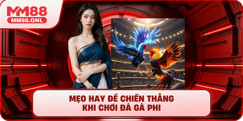 Mẹo hay để chiến thắng khi chơi đá gà phi