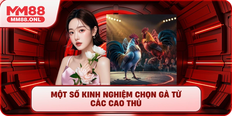 Một số kinh nghiệm chọn gà từ các cao thủ