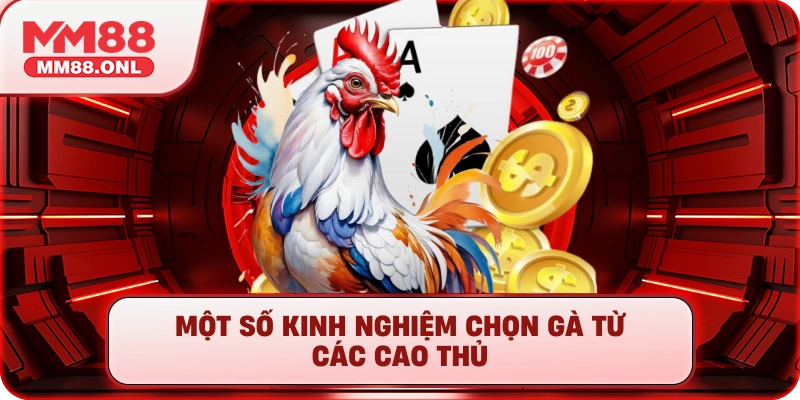 Một số kinh nghiệm chọn gà từ các cao thủ