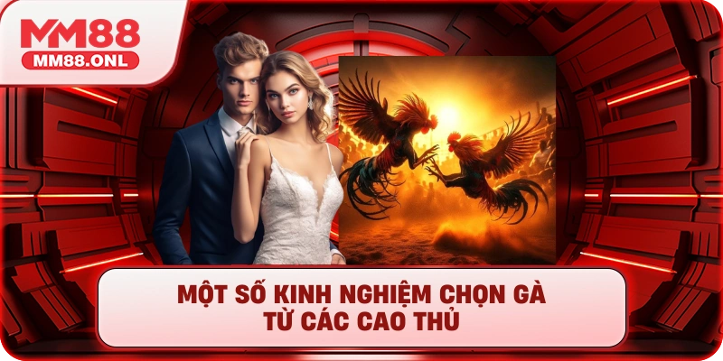 Một số kinh nghiệm chọn gà từ các cao thủ